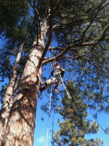 WRI Rope Rescue Training